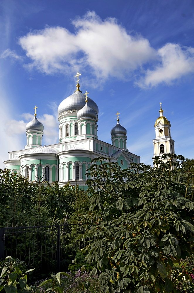 Photograph by Stevo Dragić