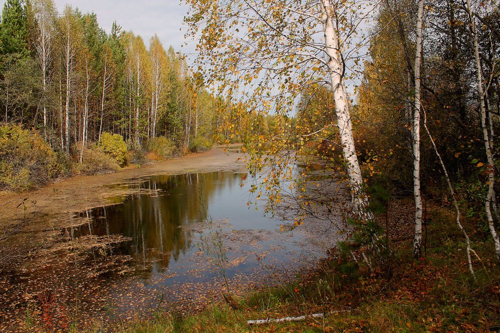 Осенняя пора