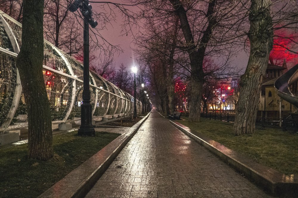 Photo #4007423