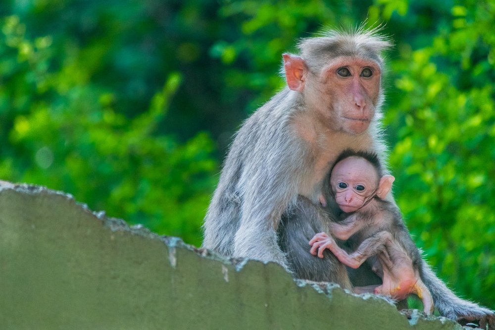 Photograph by Zinda Shaik Mohideen M