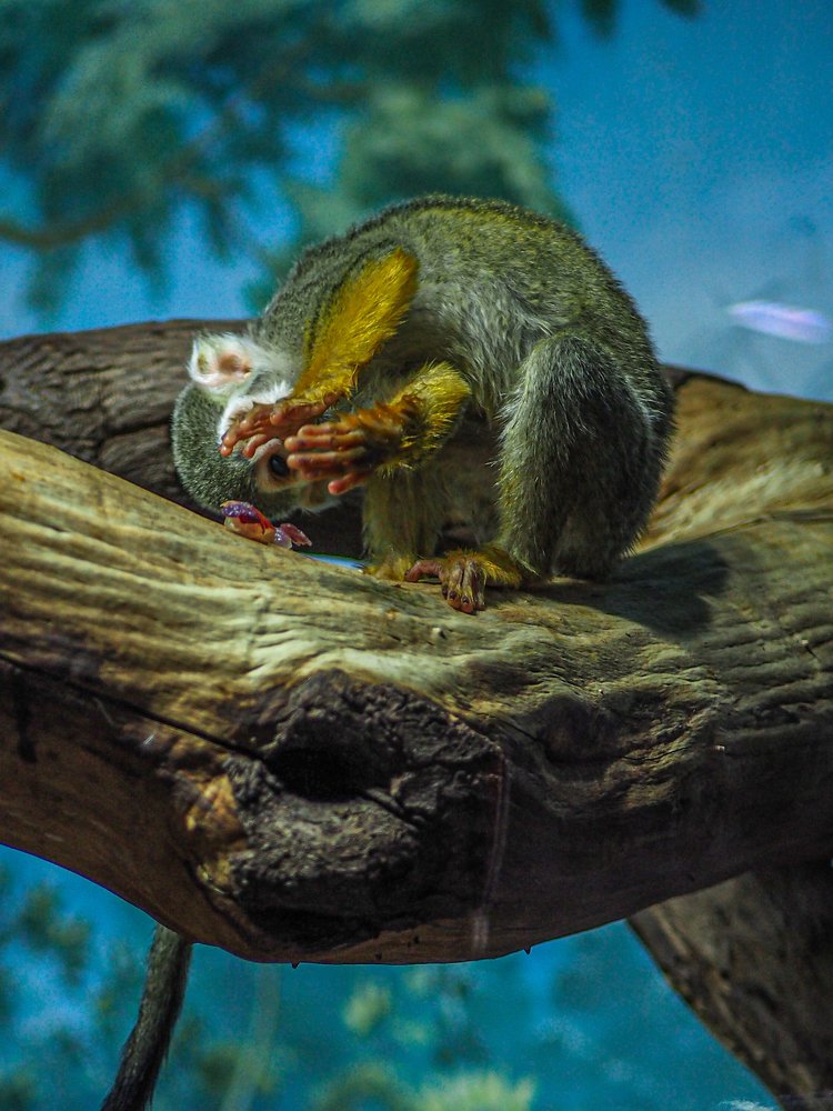 Photograph by Вячеслав Камышев