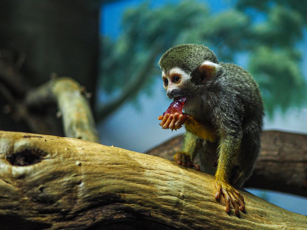 Photograph by Вячеслав Камышев