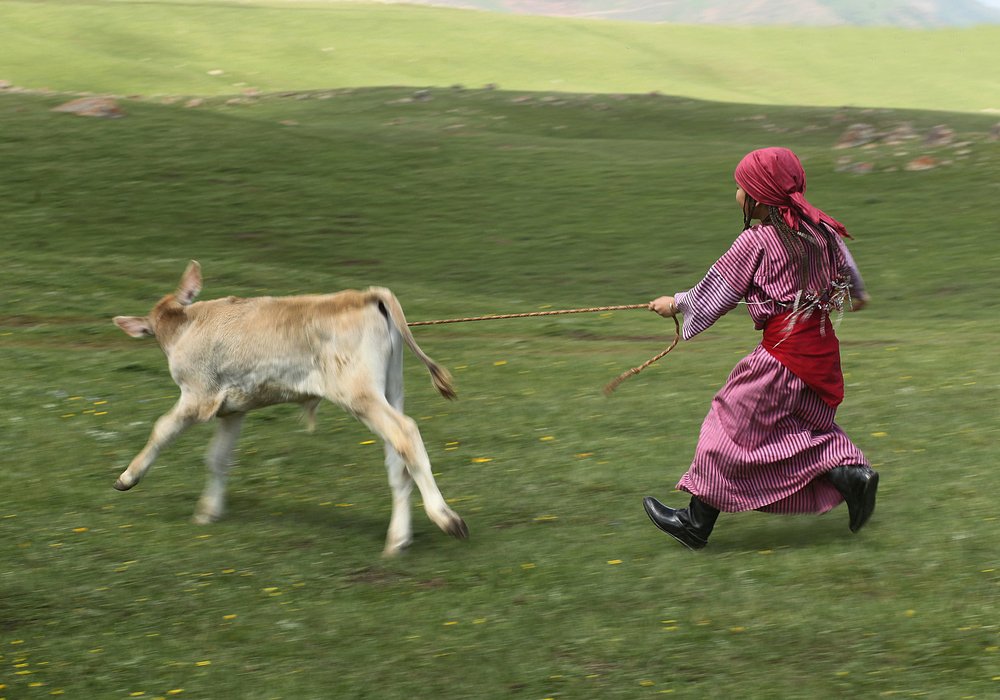 Photograph by Эркин Болжуров