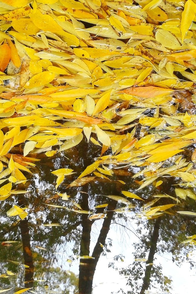 Photograph by Григорий Иванов