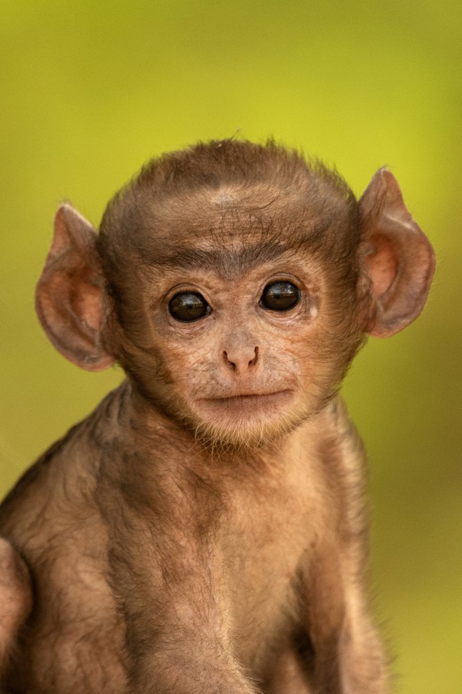 Photograph by Alok Katkar