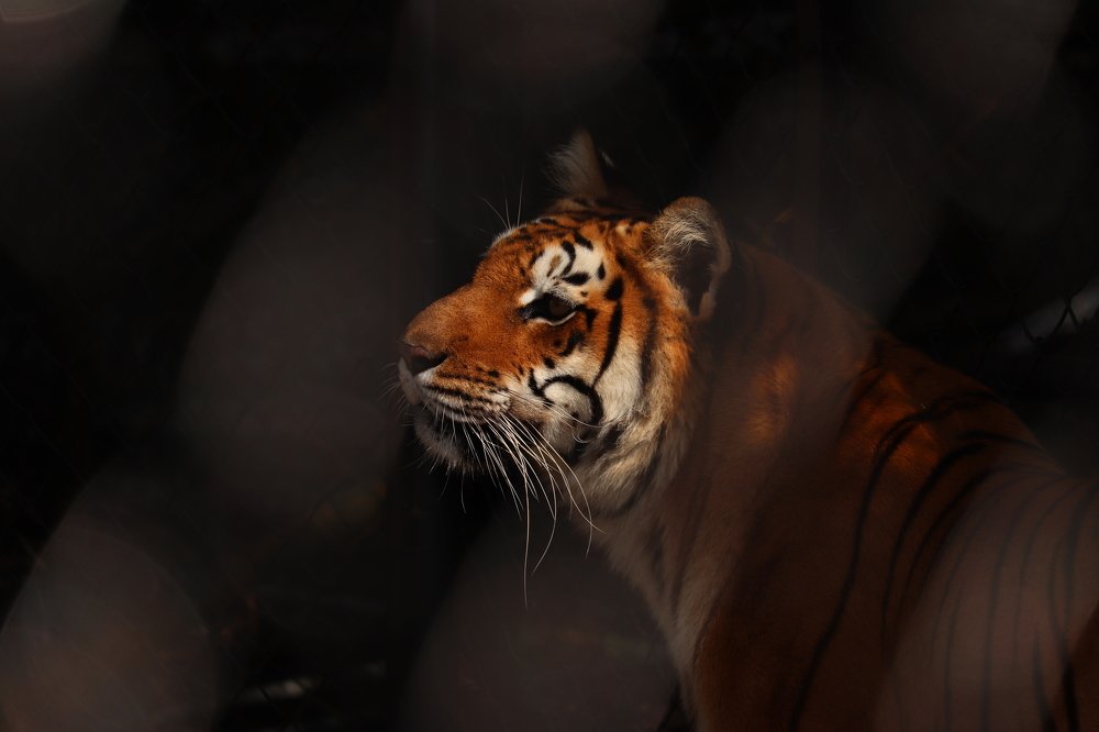 Photograph by Paritosh Ahmed