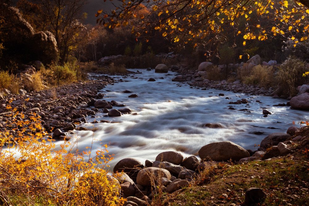 Photograph by Галина Канеева