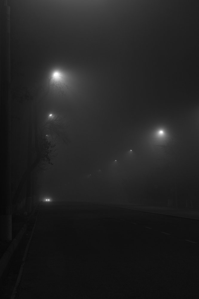 Photograph by Михаил Шпирко