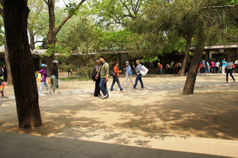 Photograph by Андрей Елькин