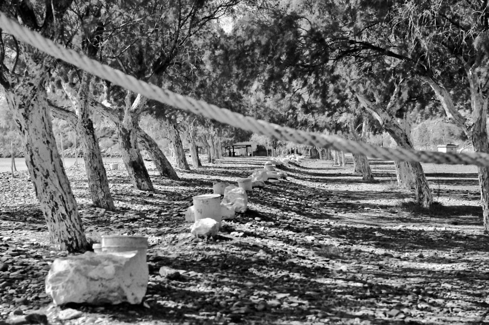 Photograph by Наталья Пирогова