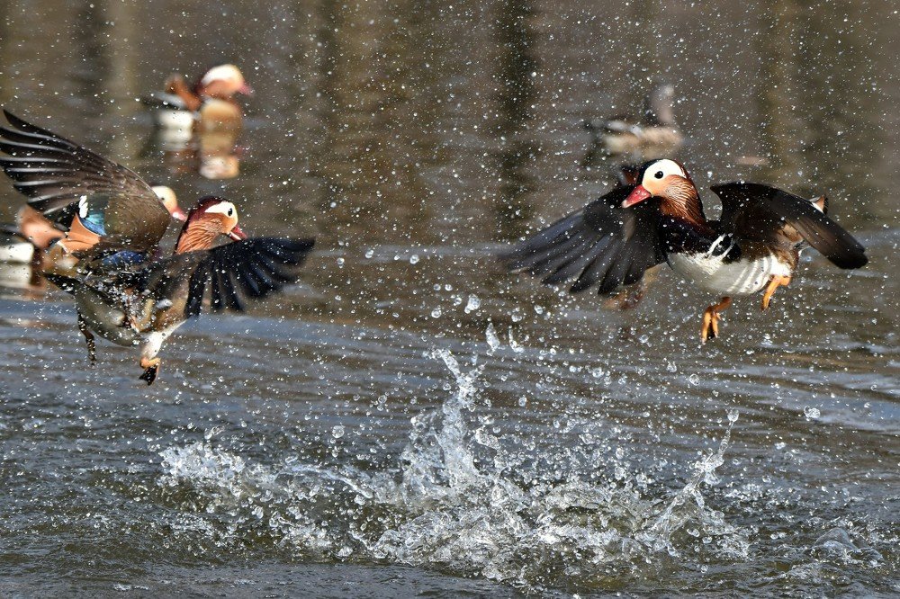 Битва за место