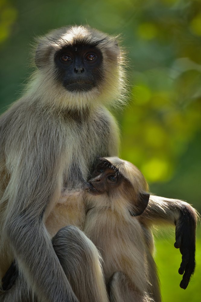 Фотография автора Ishan Vora