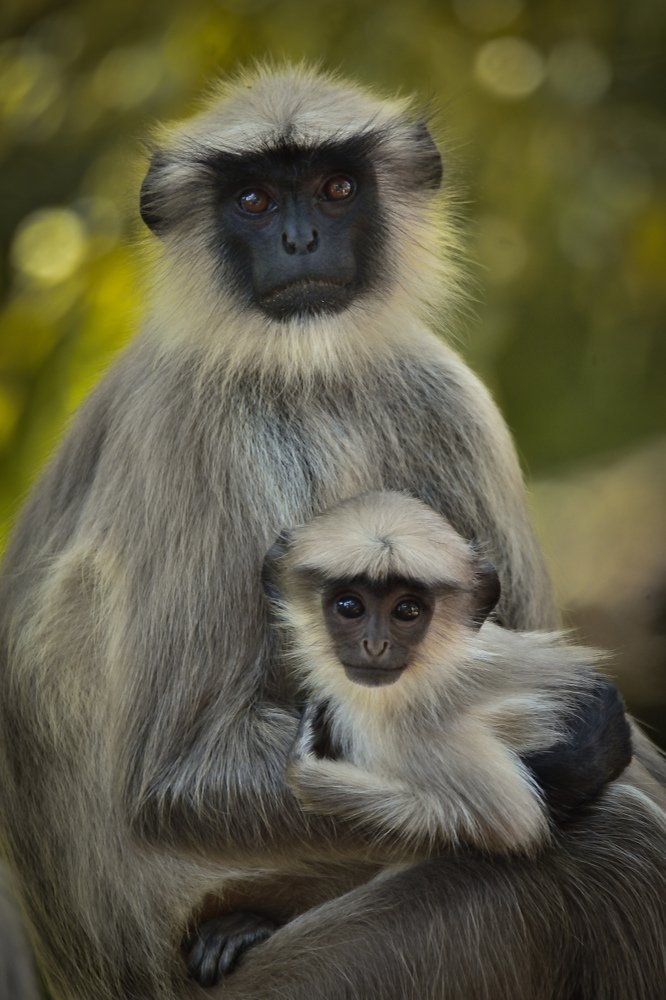 Фотография автора Ishan Vora
