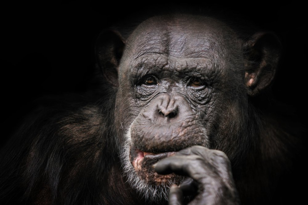 Photograph by Zdenka Janaskova