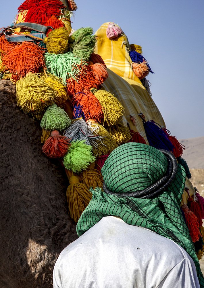 Photograph by zahra safari