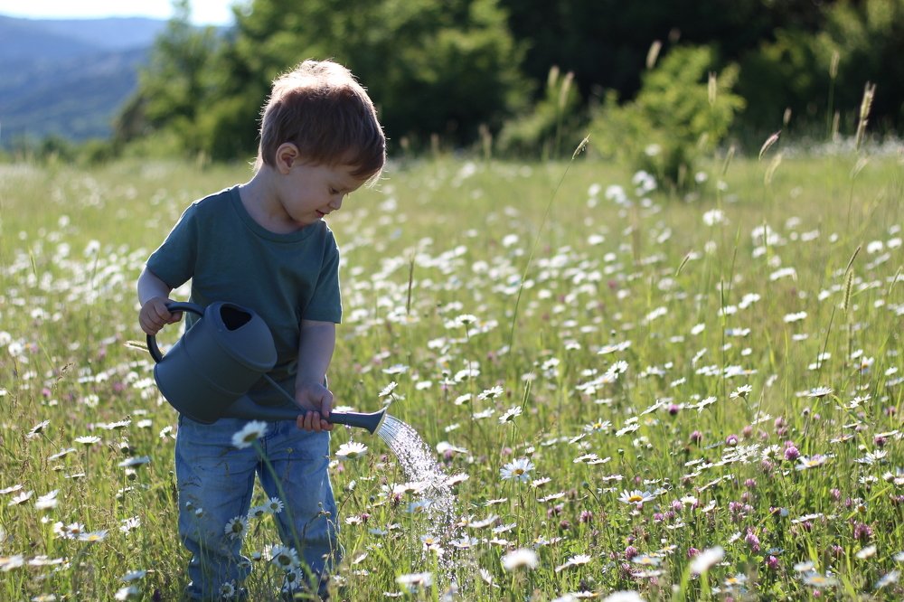 Photograph by Алина Игошева