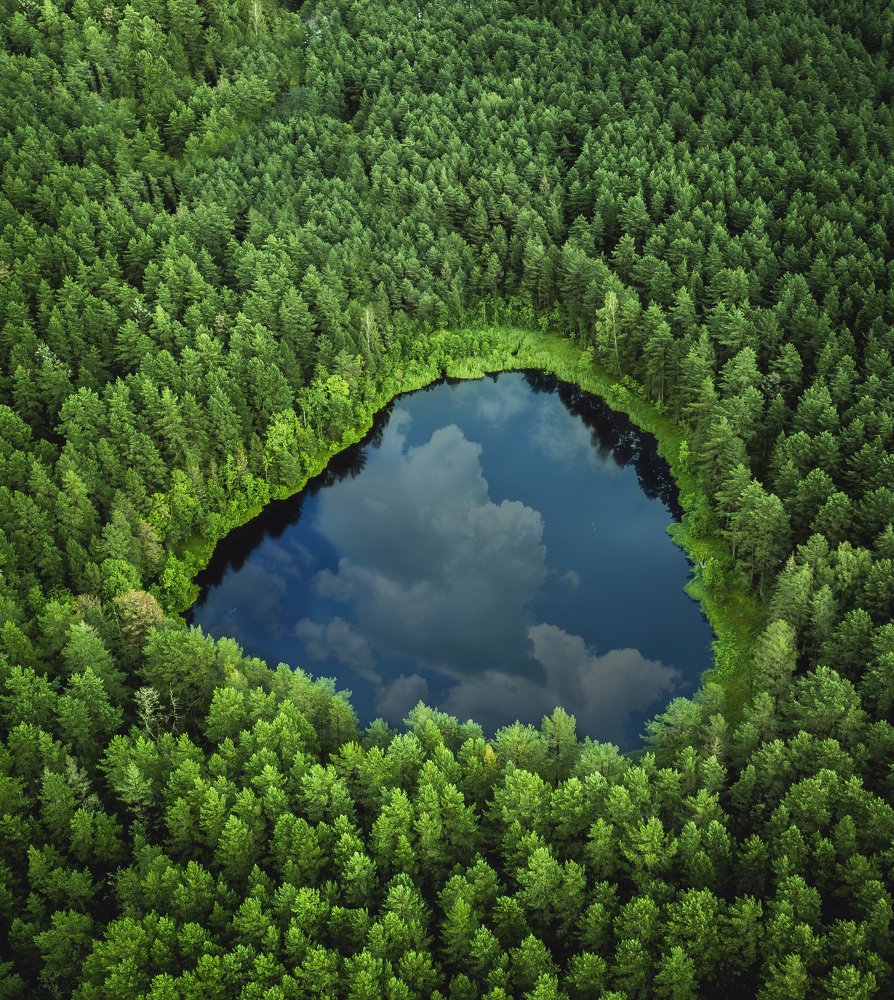 Фотография автора Дмитрий