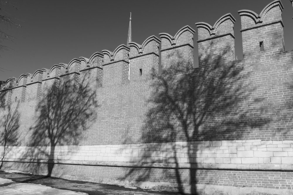 Photograph by Дмитрий Новоселов