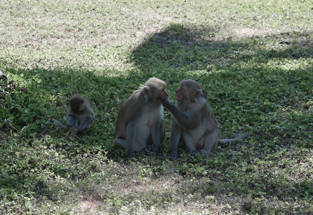 Photograph by Ксения Илюшина