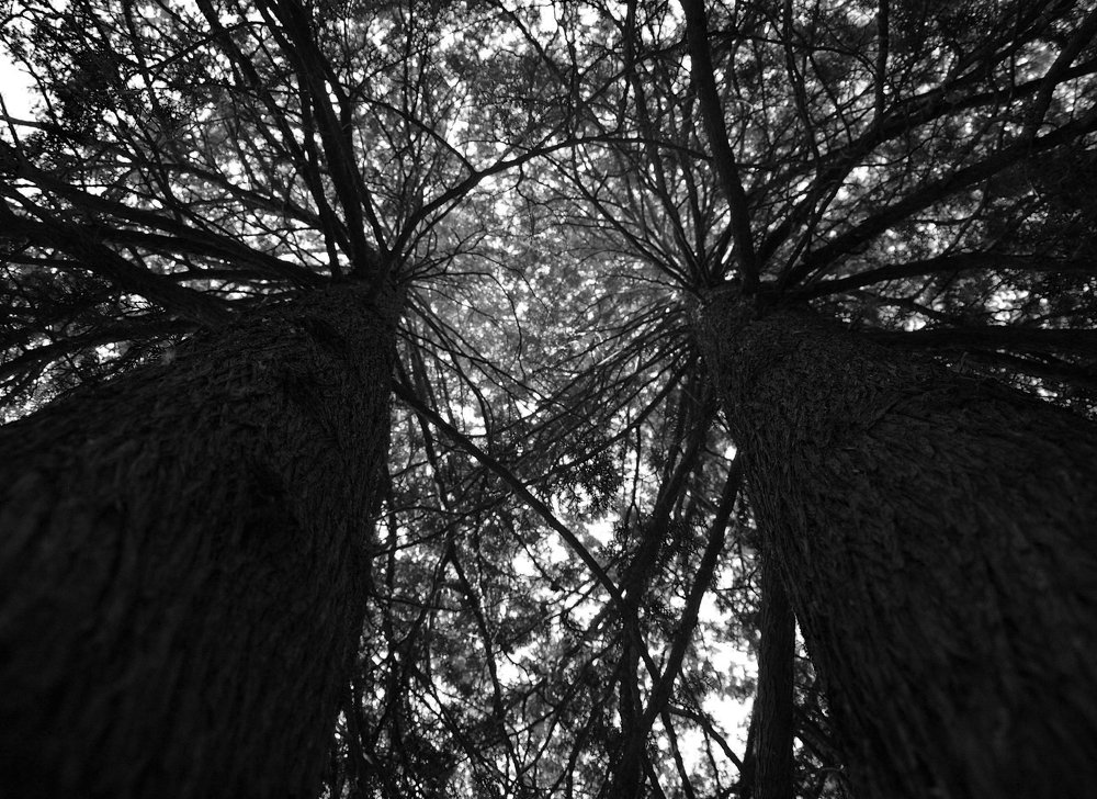 Photograph by Tatevik Tananyan