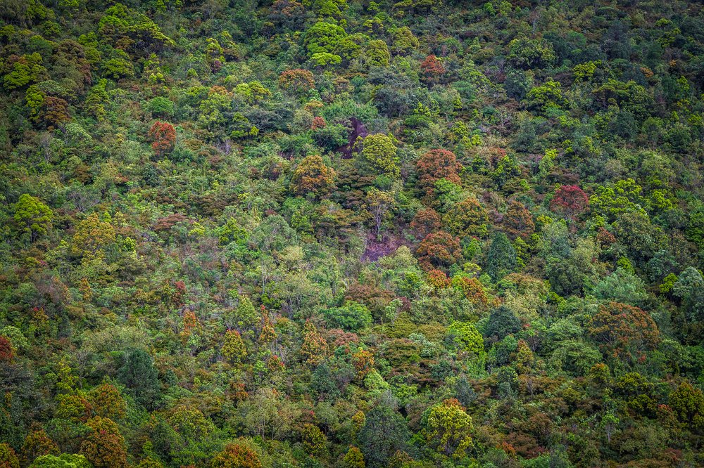 Фотография автора Андрей Пожарский