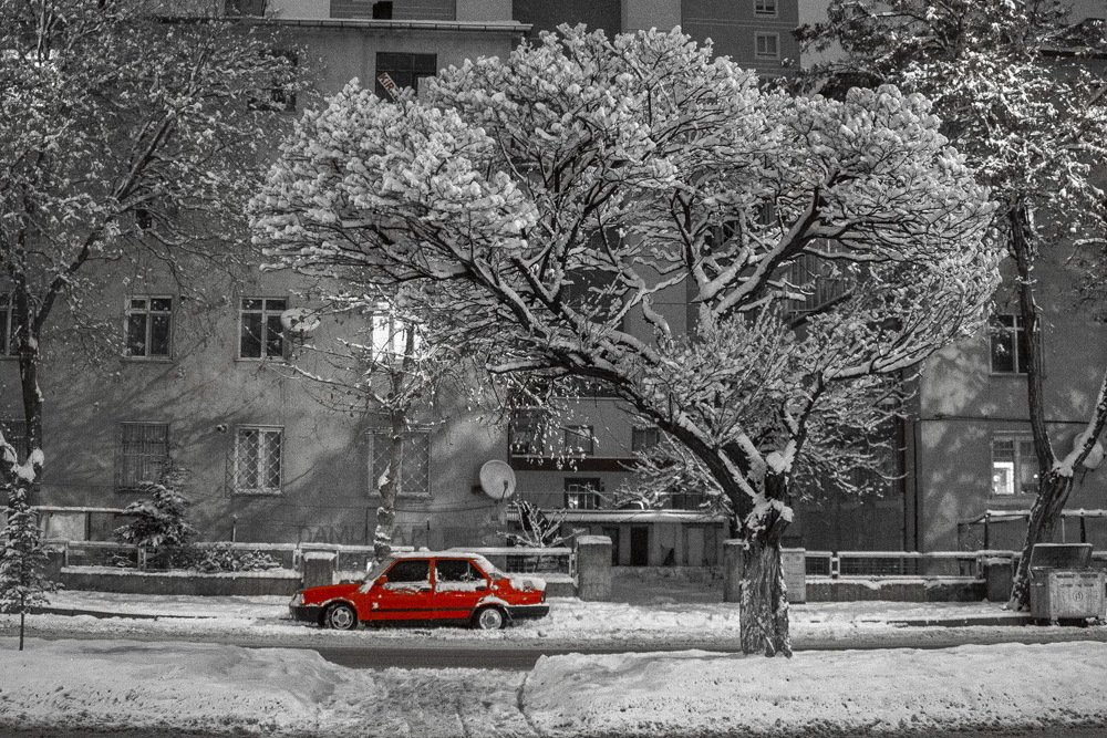 Photograph by DAMOUN POURNEMATI