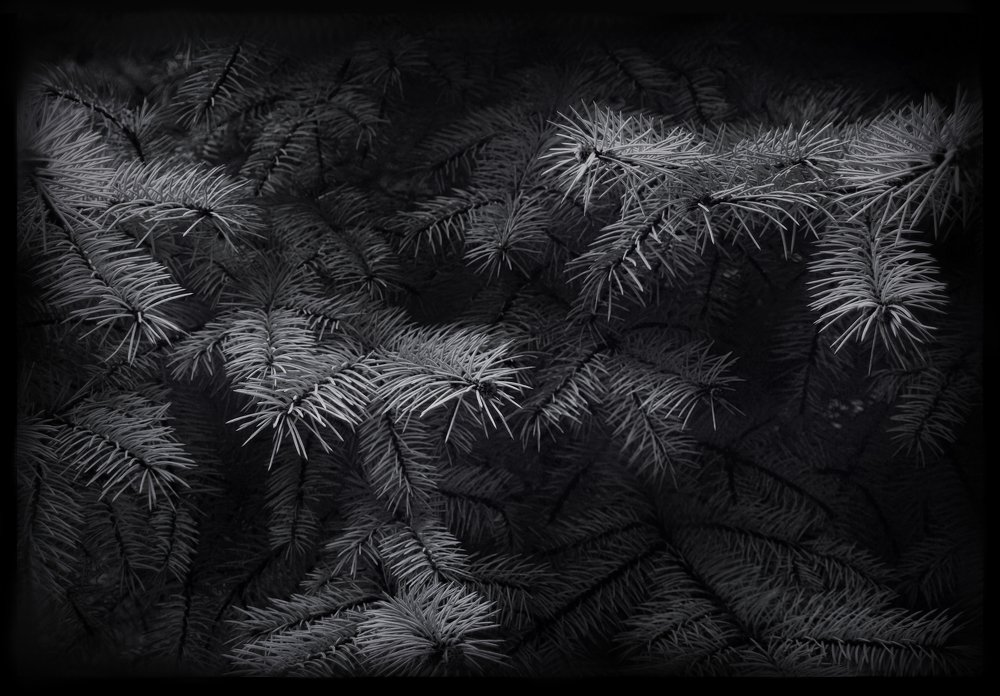 Photograph by Tatevik Tananyan