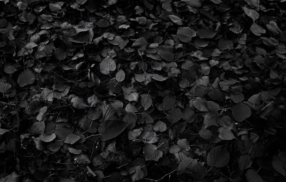 Photograph by Tatevik Tananyan