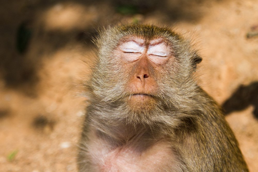 Таиланд. Спокойствие