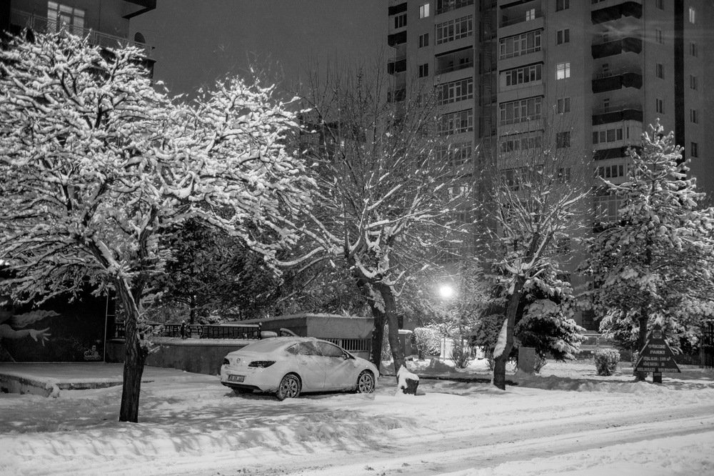 Photograph by DAMOUN POURNEMATI