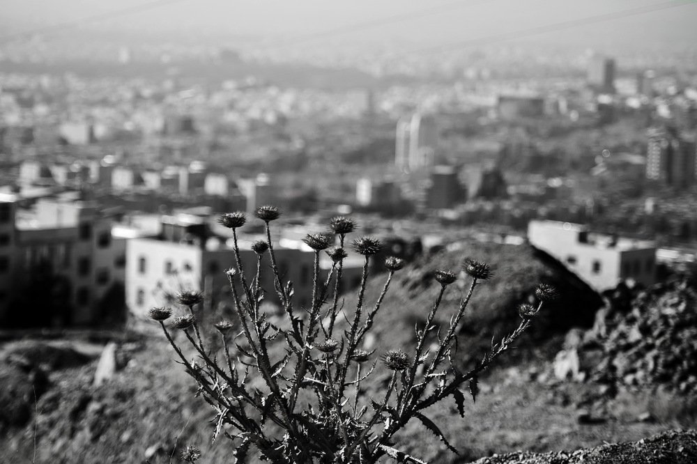 Photograph by DAMOUN POURNEMATI