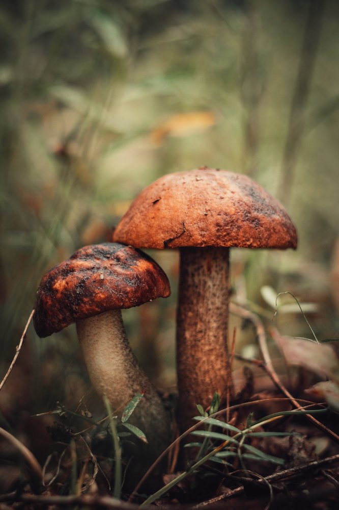 Photograph by Чернышёв Александр