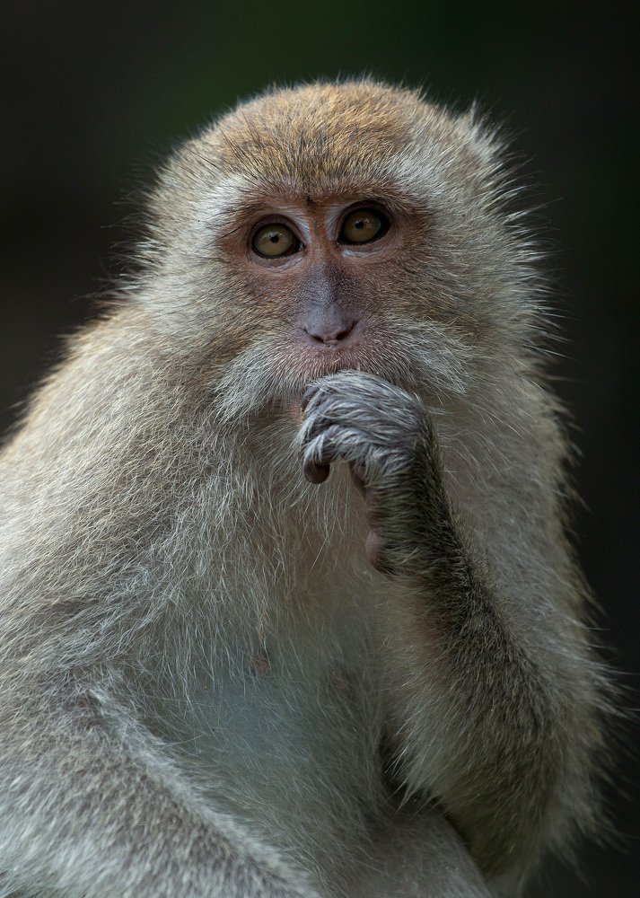 Photograph by Светлана