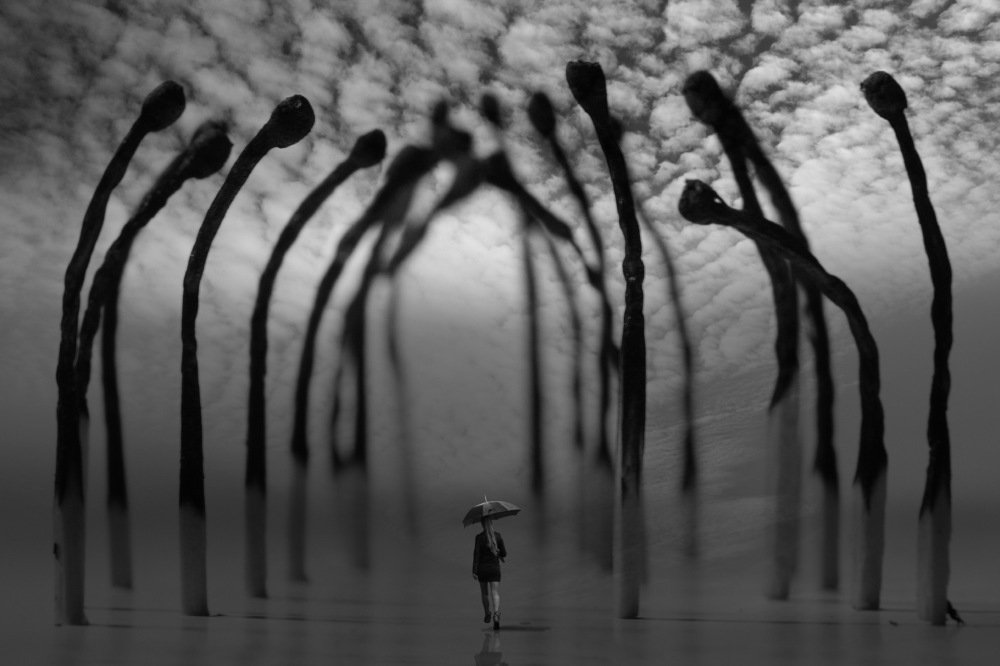 И все таки я верю