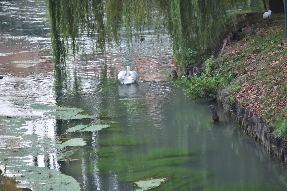 Photograph by Ekaterina Naneva