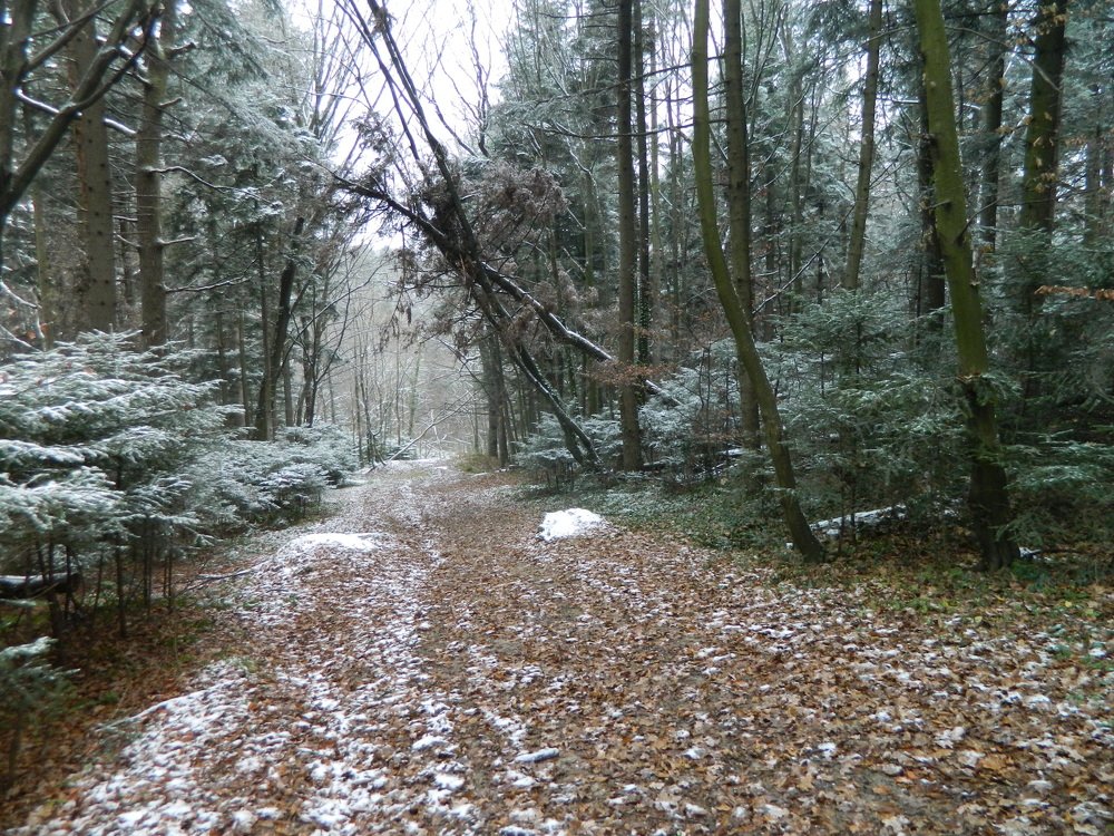 Photograph by Сергей Рапопорт