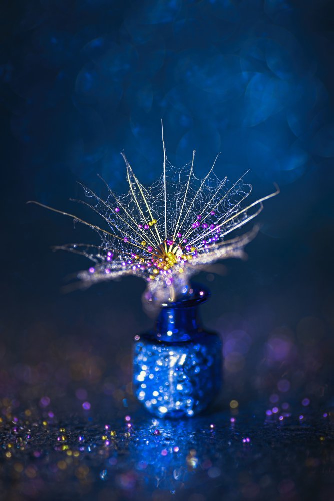 Фотография автора Андрей Сосновский