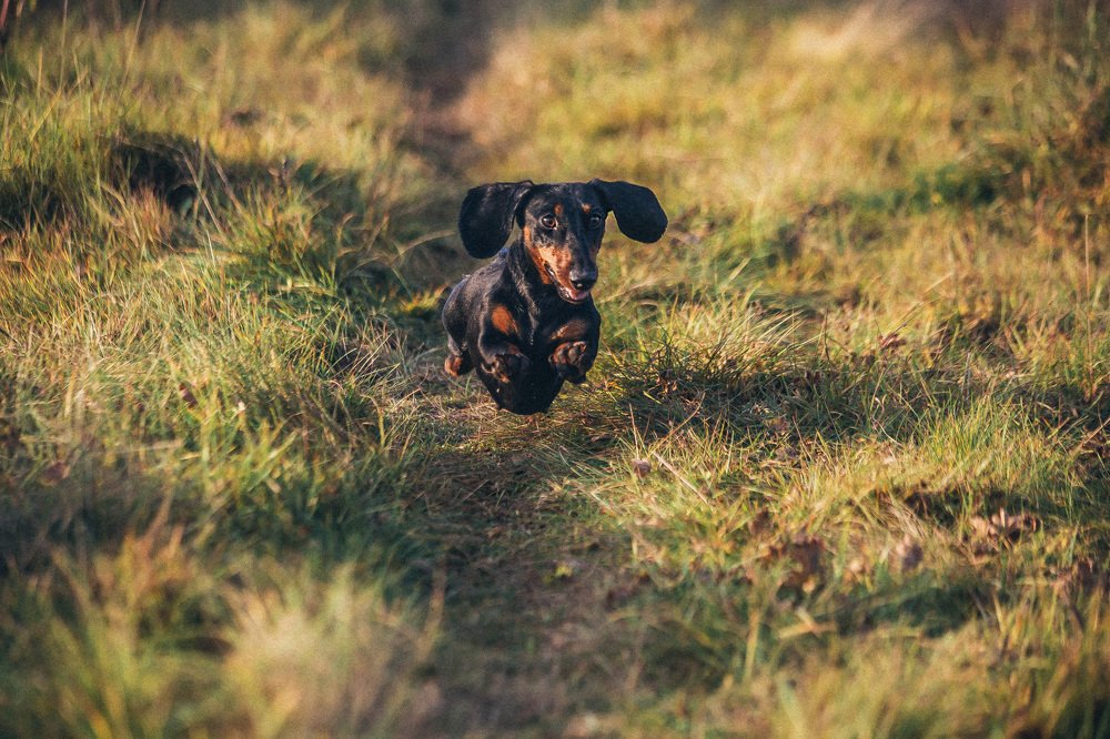 Photograph by Ольга Мурзина