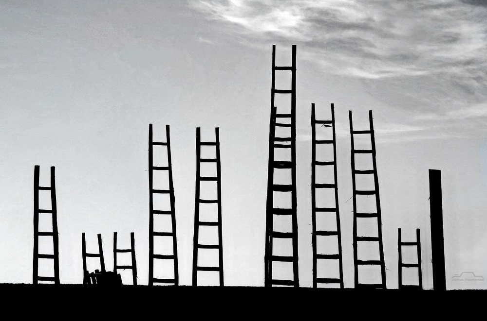 Photograph by DAMOUN POURNEMATI