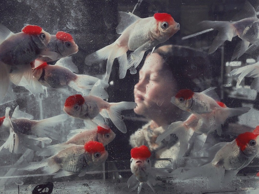 Photograph by Мария Погорелова