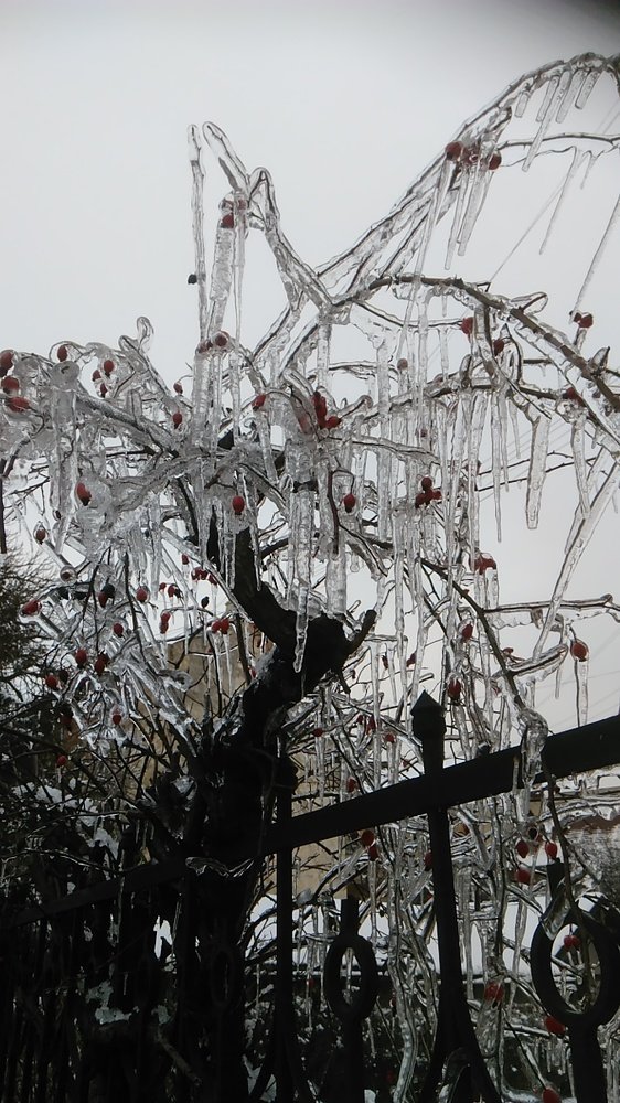 Photo #4008853