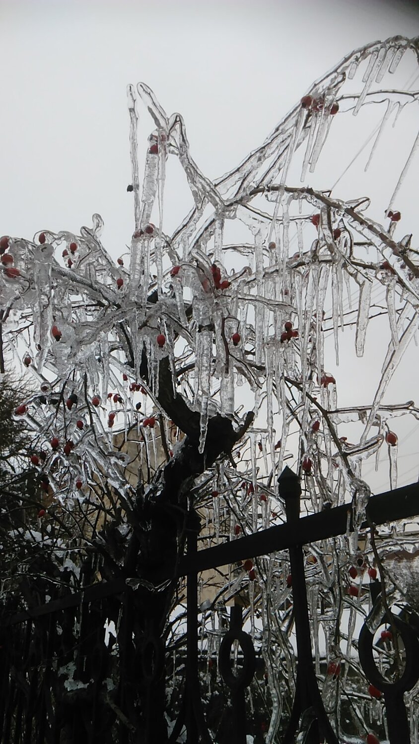 Photo #4008853