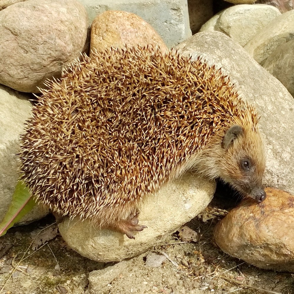 Photograph by Елена Павлова