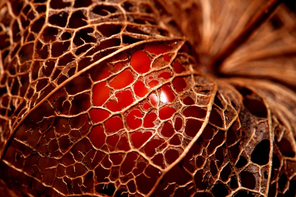 Золото природы