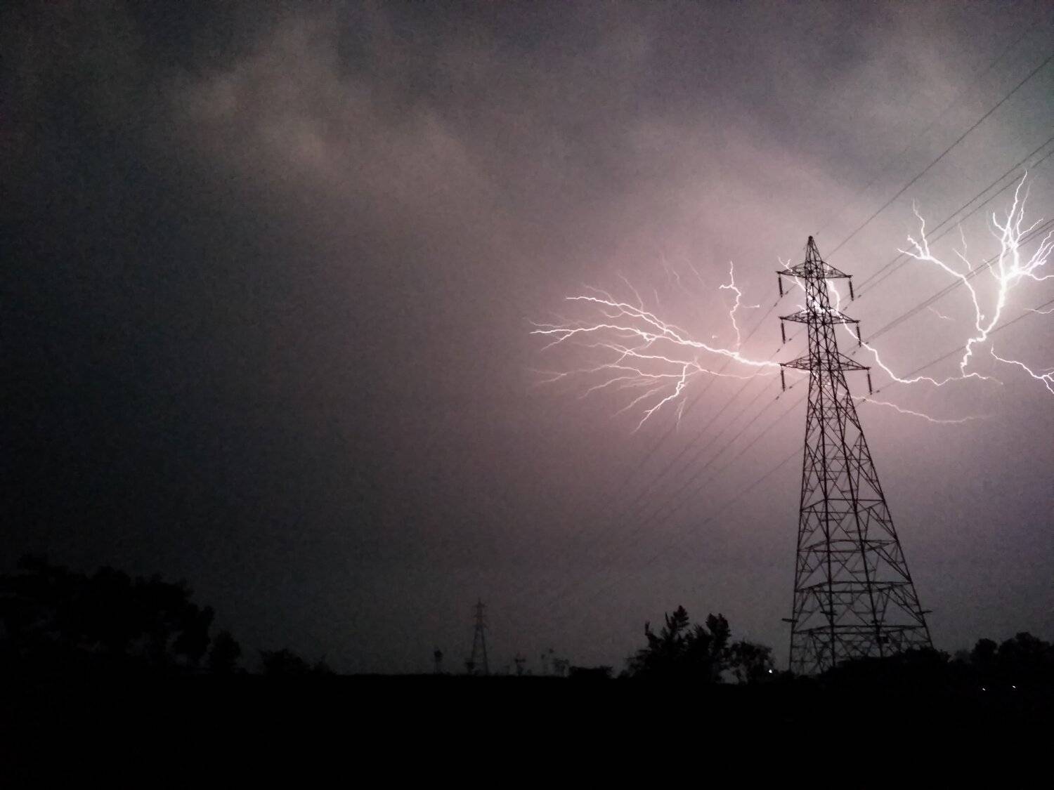 Photo #4009072