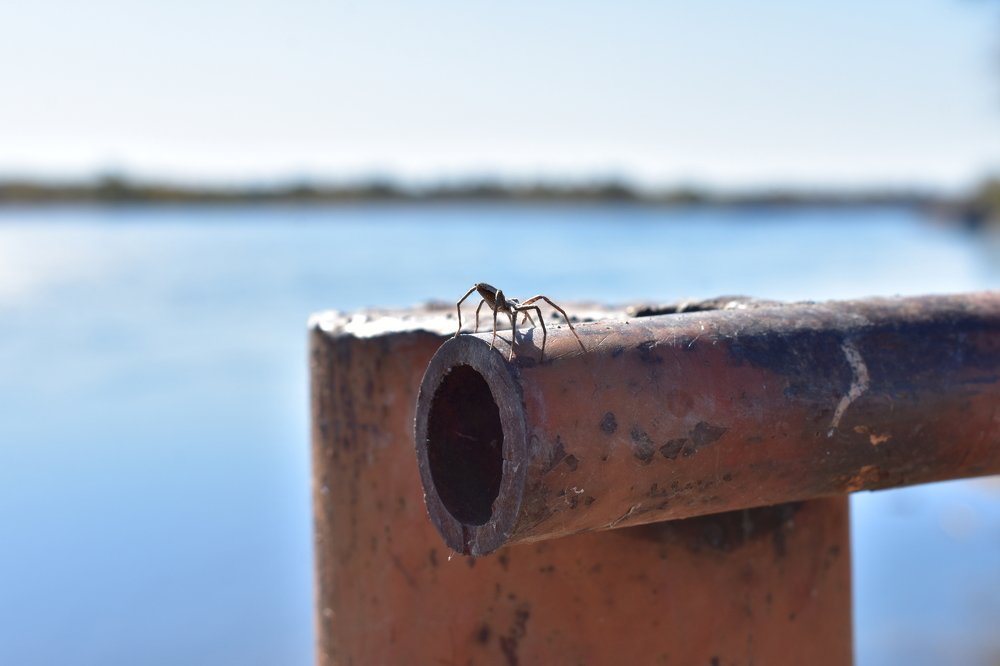 Photograph by Тогжан Таминбаева