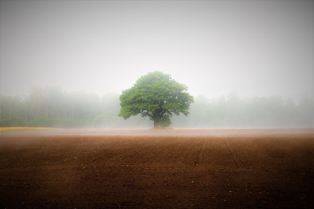 Photograph by Ingrida Skuja