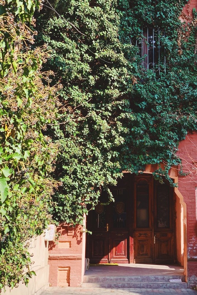 Photograph by Мария