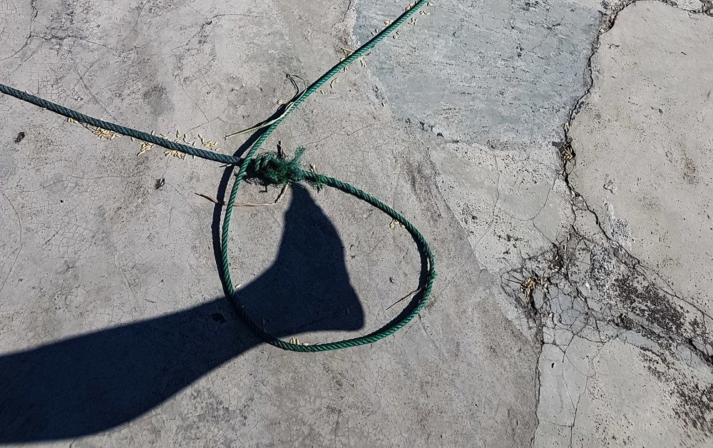 Photograph by Iin Fortunata Angelina