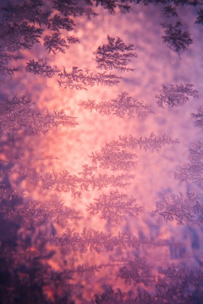 Фотография автора Алексей Новиков